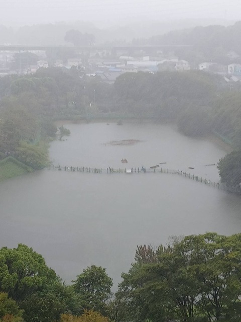 2026年9月21日遊水地