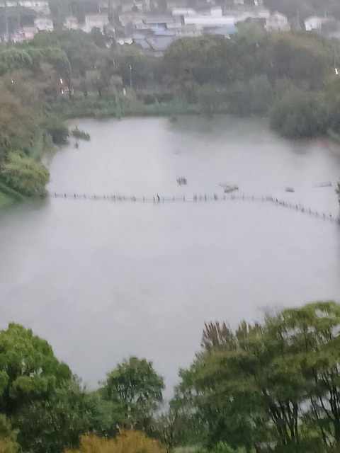 2026.9.21遊水池５