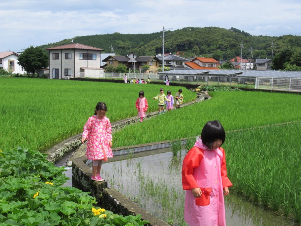 カッパで探検 社会福祉法人 若葉福祉会 若葉保育園 カッパで探検 社会福祉法人 若葉福祉会 若葉保育園