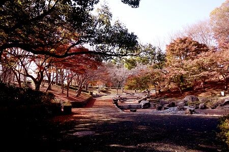 一本杉 (1)