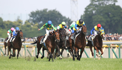 東京優駿2019日本ダービー予想