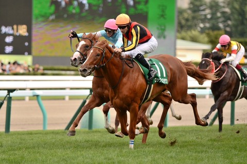 ロックディスタウン2017阪神JF無料予想