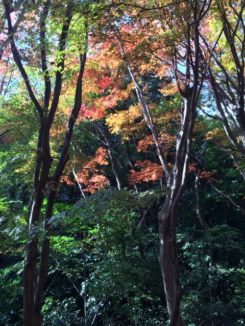 2014-11-20-12-55-48