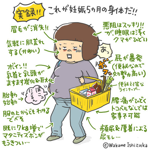 実録 これが妊娠5カ月の身体だ ワカメ絵日記