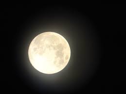 images-1