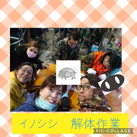 Collage 2022-03-02 22_36_41