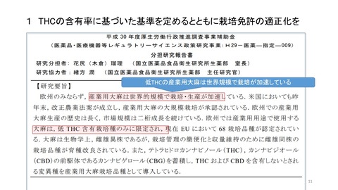 スライド11