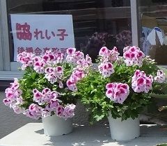 hana