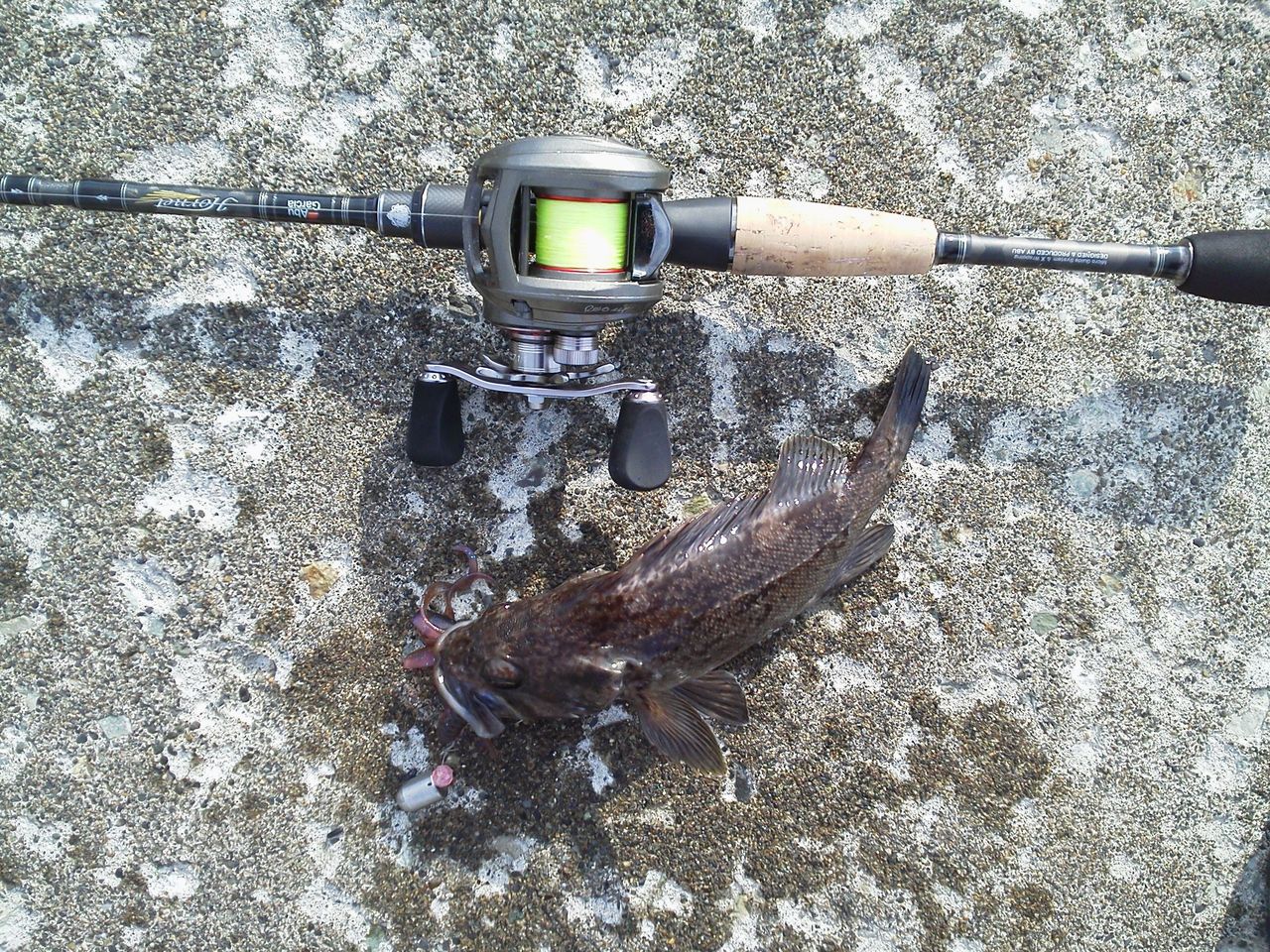 サケまでまったりモード 道北の釣りバカ サケまでまったりモード 道北の釣りバカ