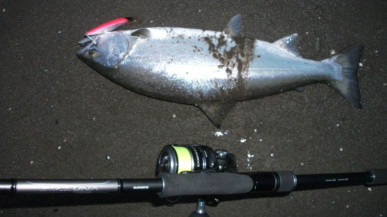 道北の釣りバカ 道北の釣りバカ