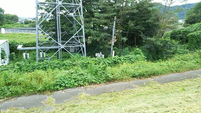 54日目 番外編 栃木県足利市 わっきの日本一周 道の駅スタンプラリー制覇 記録日記