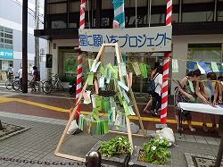 tanabata2011 (13)