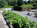 伊勢原総合公園ため池