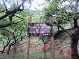 日向梅園