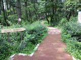 湘南海岸公園遊歩道