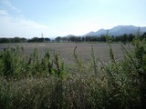 伊勢原総合公園グラウンド