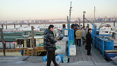 201001191641000