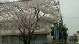 167f3e62.jpg