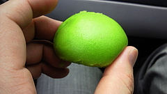 201006041319001