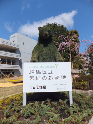 DSCF4620