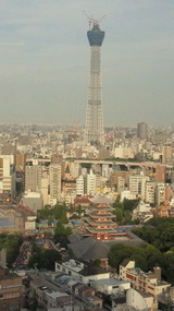 5ff904a6.jpg