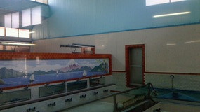 8b542d42.jpg