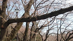 P3230240