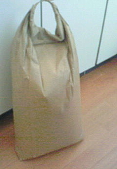 200905271051000