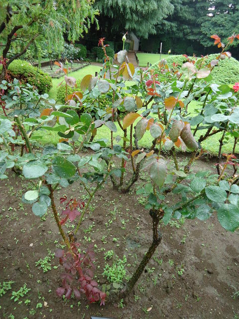 DSC00569