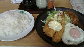 e8911527.jpg