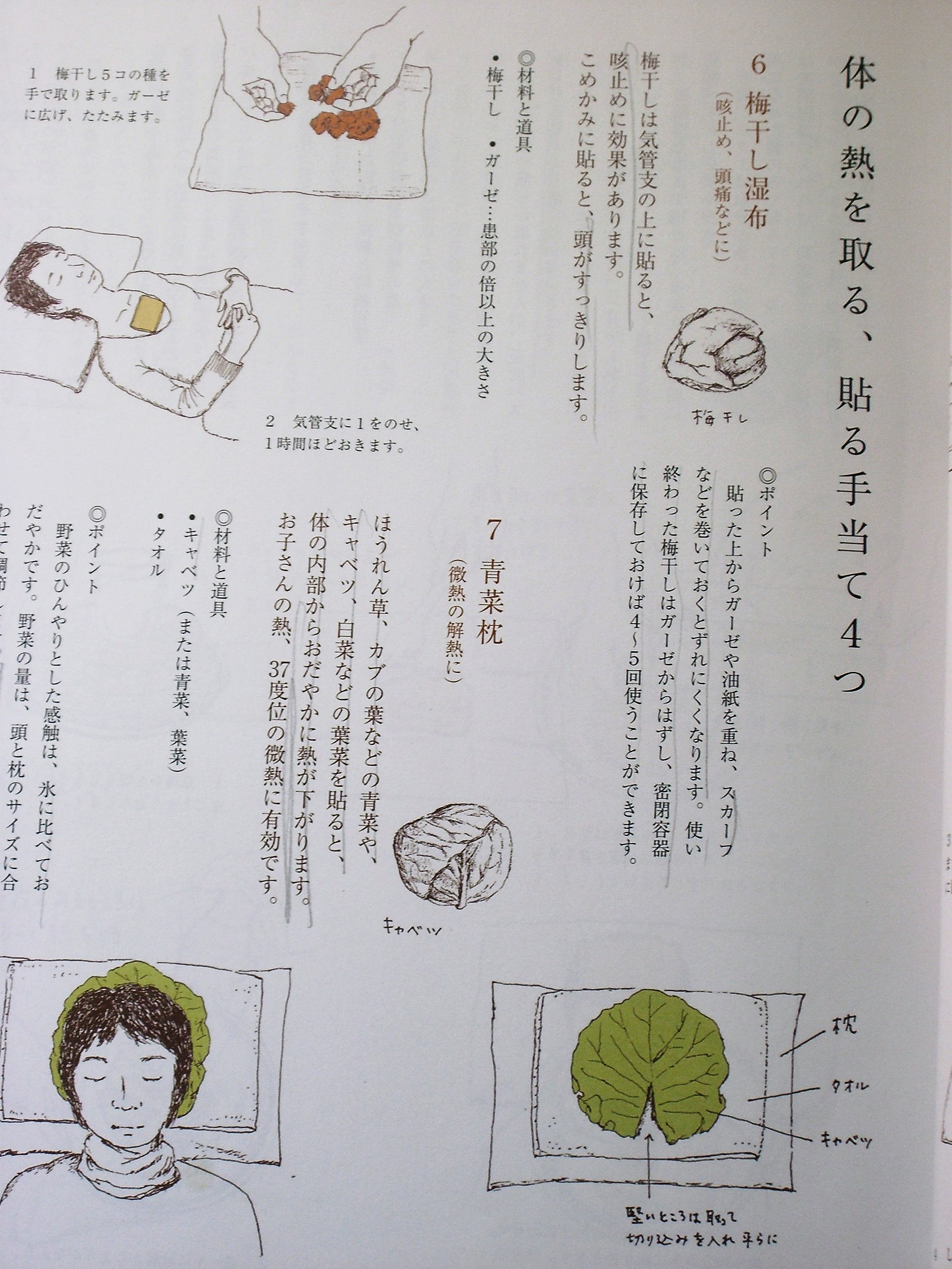 自然療法ー 手当 暮らしの手帖３９より 和子さんのグリーンノート