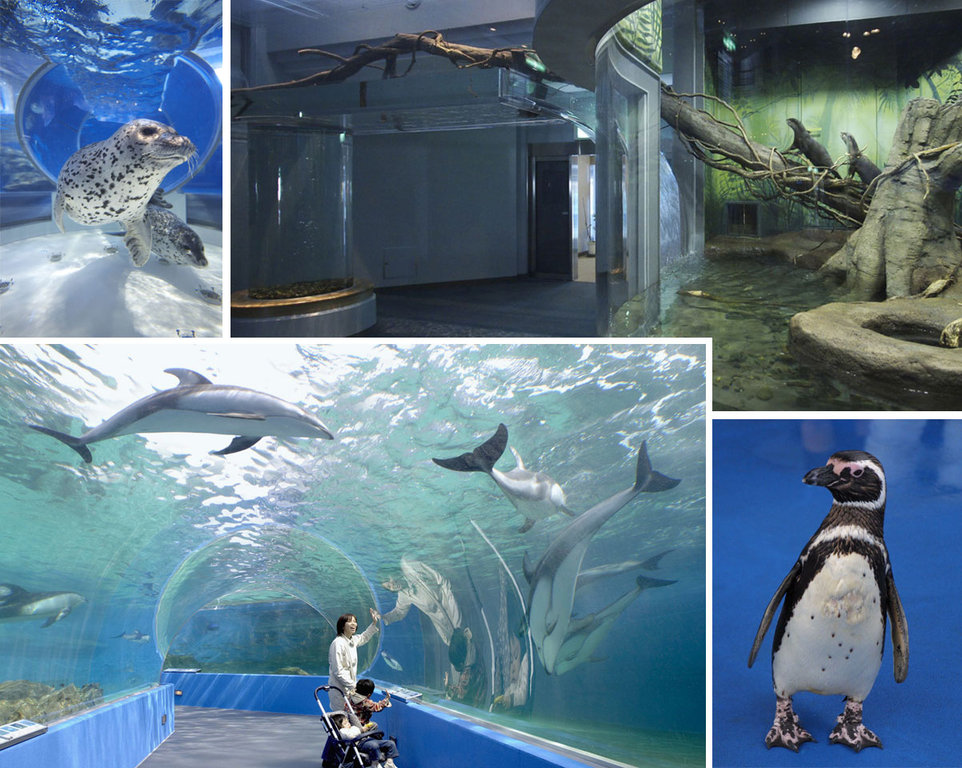 のとじま水族館 和倉温泉から車で約分 加賀屋ブログ 和倉温泉 旅館