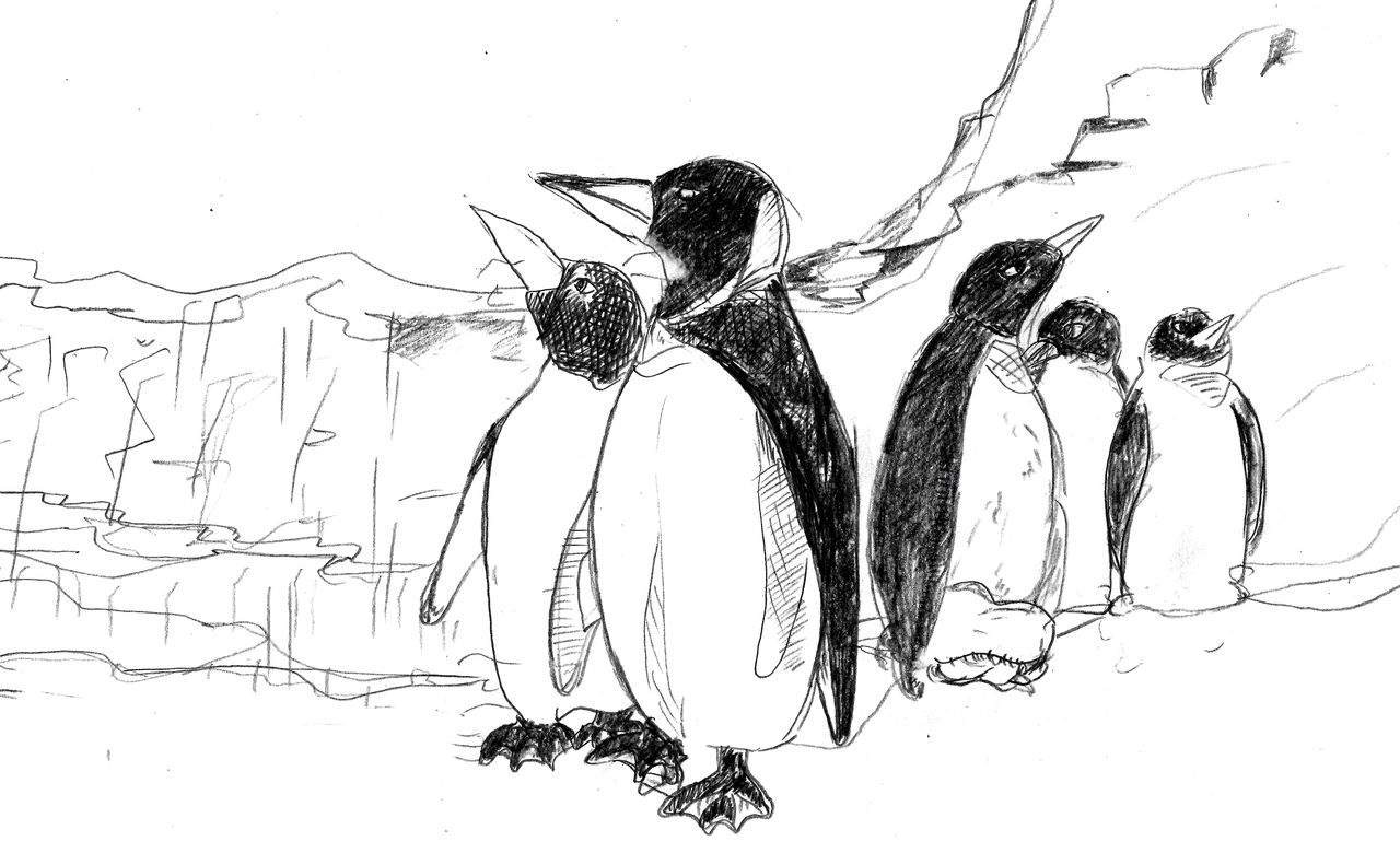 シャーペン画 ペンギン のデッサン 元気はつらつ シャーペン画 ペンギン のデッサン 元気はつらつ