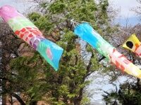koinobori