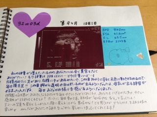 妊娠したらマタニティアルバムを作ってみよう Take It Eazy 人生は自分探しの長い旅 妊娠したらマタニティアルバムを作ってみよう Take It Eazy 人生は自分探しの長い旅