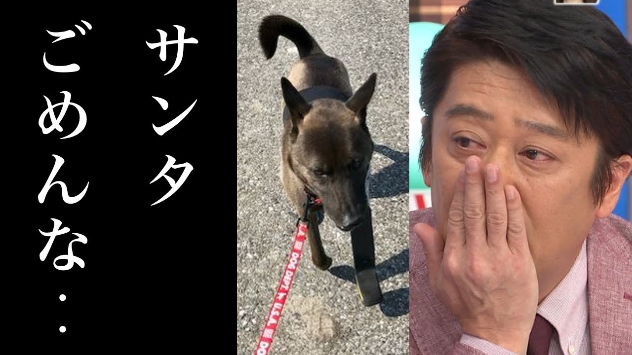 最速 坂上忍サンタ 最速 坂上忍サンタ