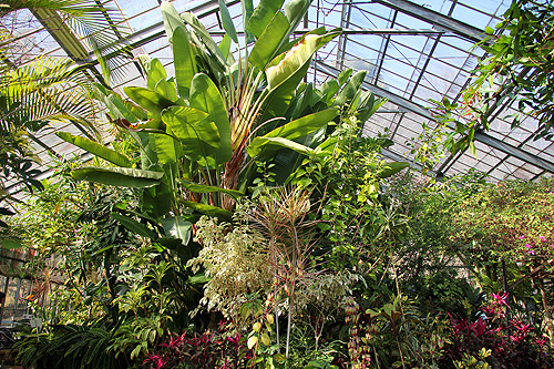 和歌山県植物公園緑化センター Wakya 和歌山紹介ブログ