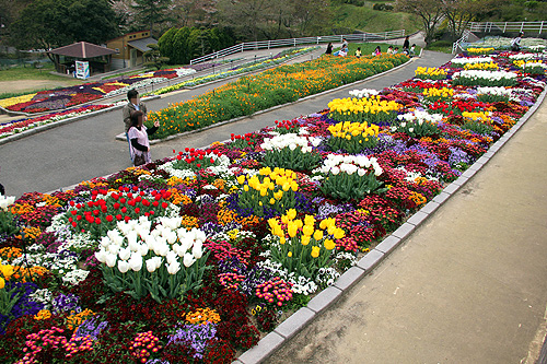 和歌山県植物公園緑化センター Wakya 和歌山紹介ブログ