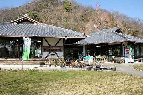 和歌山県植物公園緑化センター Wakya 和歌山紹介ブログ