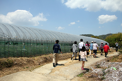 貴志川観光いちご狩り園 Wakya 和歌山紹介ブログ 貴志川観光いちご狩り園 Wakya 和歌山紹介ブログ