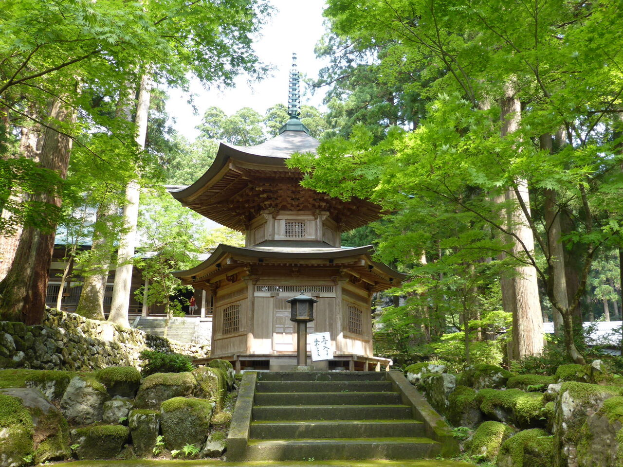 曹洞宗 大本山 永平寺所蔵 永平禅師録 影本 全巻揃 桐箱 道元禅師と永平寺(全5巻)[カセット] |本 | 通販 | Amazon