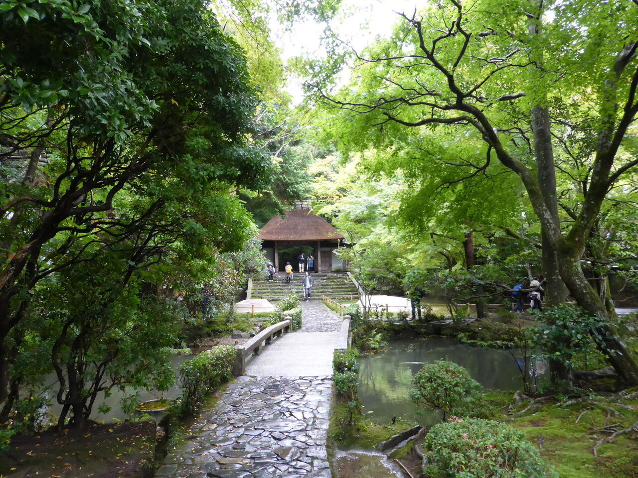 浄土宗祖・法然上人の旧跡 ～ 法然院（ほうねんいん） ～ : 日日