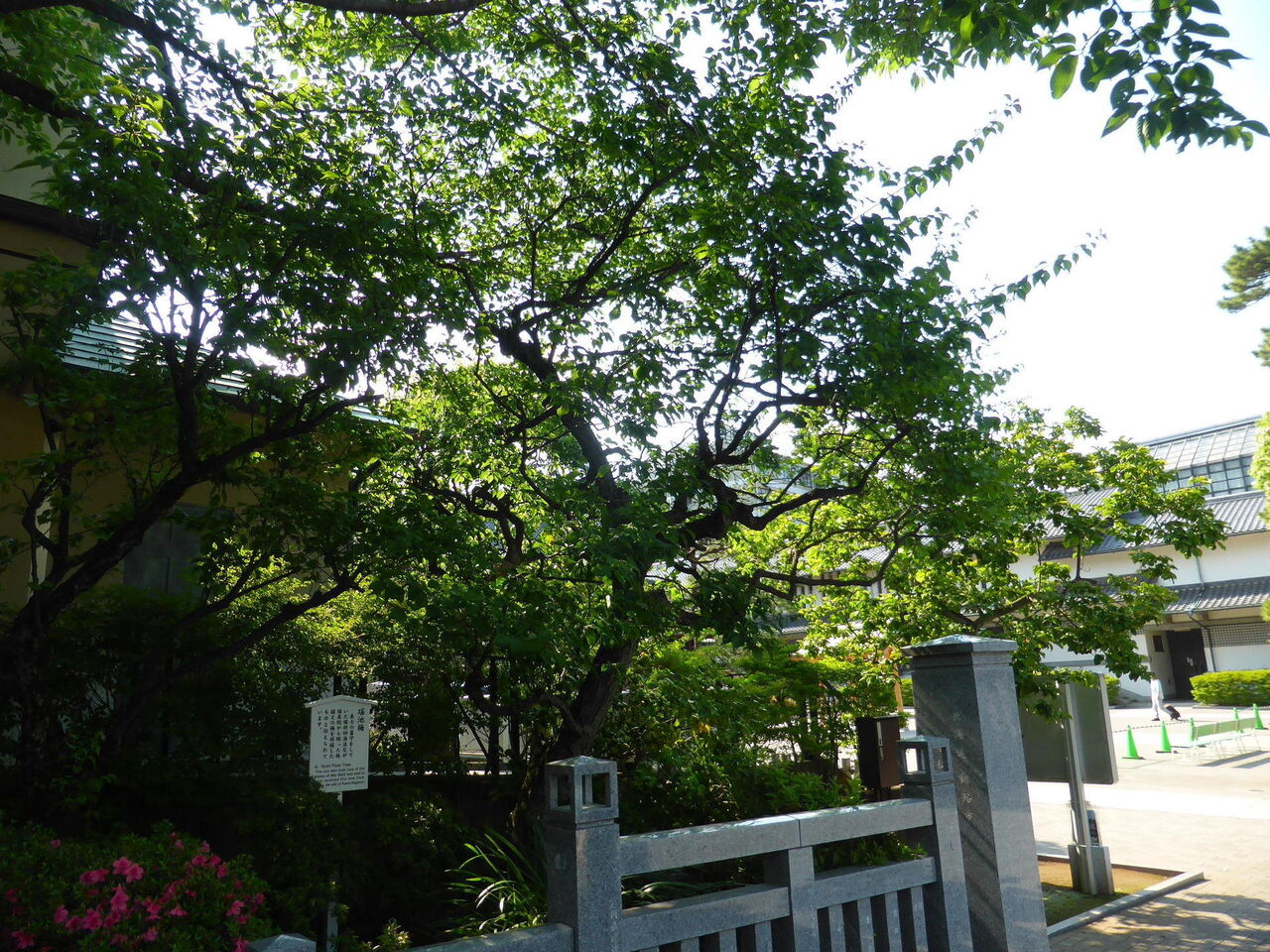 赤穂義士四十七士の墓所 ~ 泉岳寺(せんがくじ) ~ : 日日是好 赤穂義士四十七士の墓所 ~ 泉岳寺(せんがくじ) ~ : 日日是好