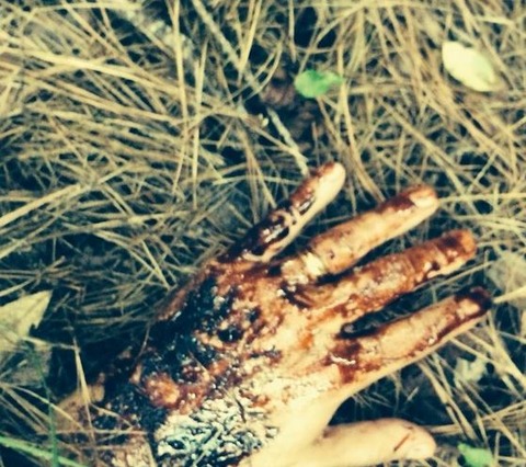 Twd コミック版 グレン死亡のシーン 海外ドラマ たもっさん aのブログ Twd コミック版 グレン死亡のシーン 海外ドラマ たもっさん aのブログ
