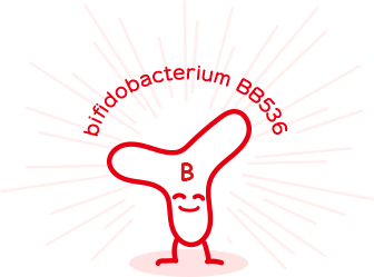 bifidobacterium_BB536