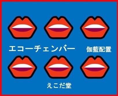 エコーチェンバー表紙