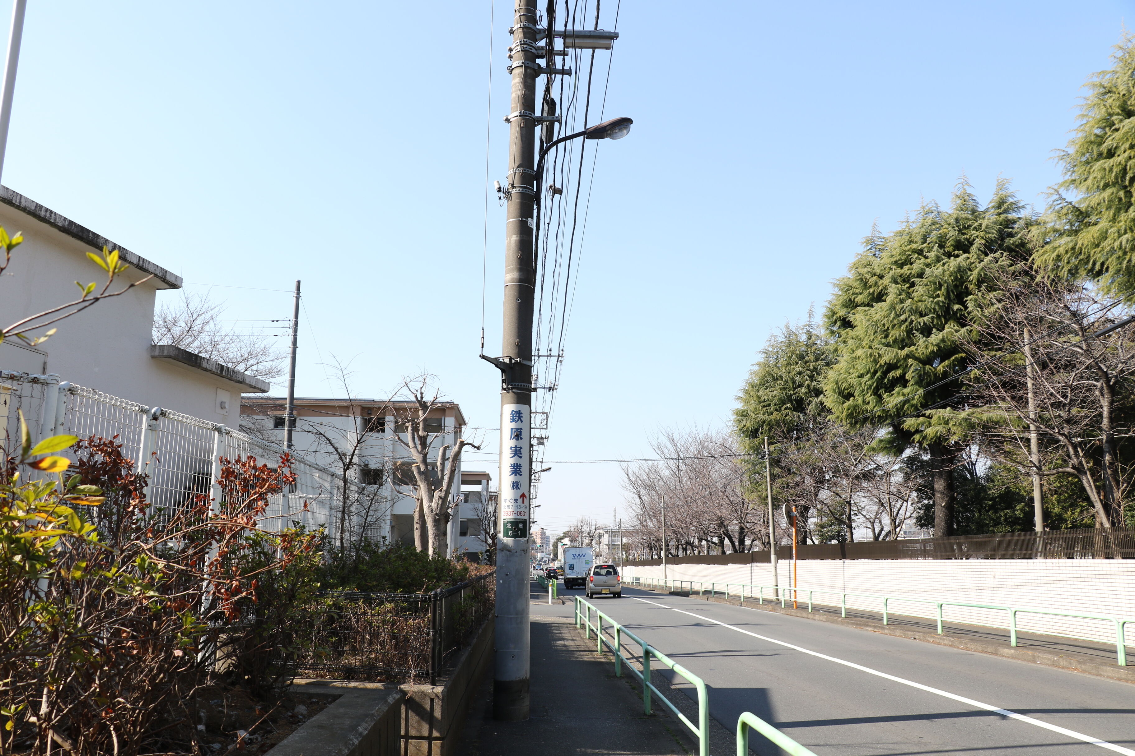 東武練馬は梅と河津桜が満開だし フルーツサンドも旨いし 大森香里のtokyoを食べる