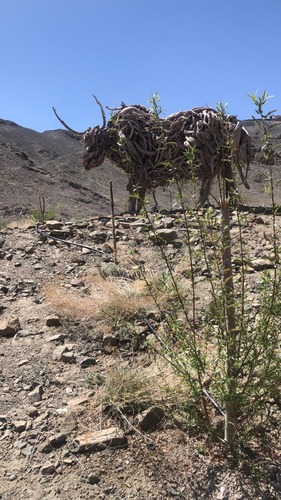 WhatsApp Image 2025-05-08 at 13.54.26