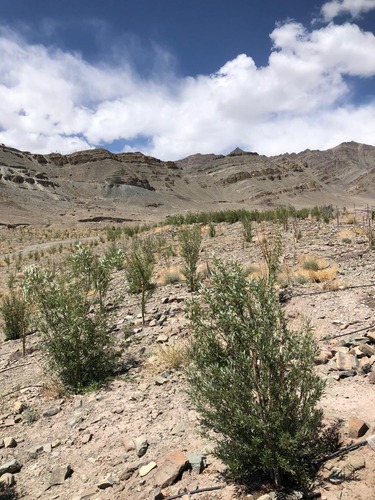 WhatsApp Image 2025-05-23 at 14.21.59