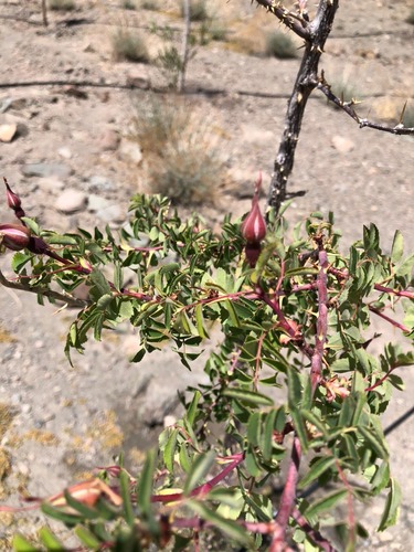 WhatsApp Image 2025-05-23 at 14.22.03